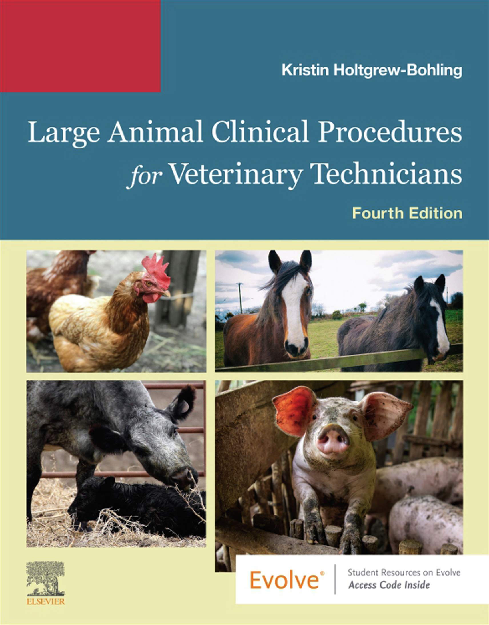 (Large Animal Clinical Procedures for Veterinary Technicians, 4th Edition(Kristin Holtgrew-Bohling